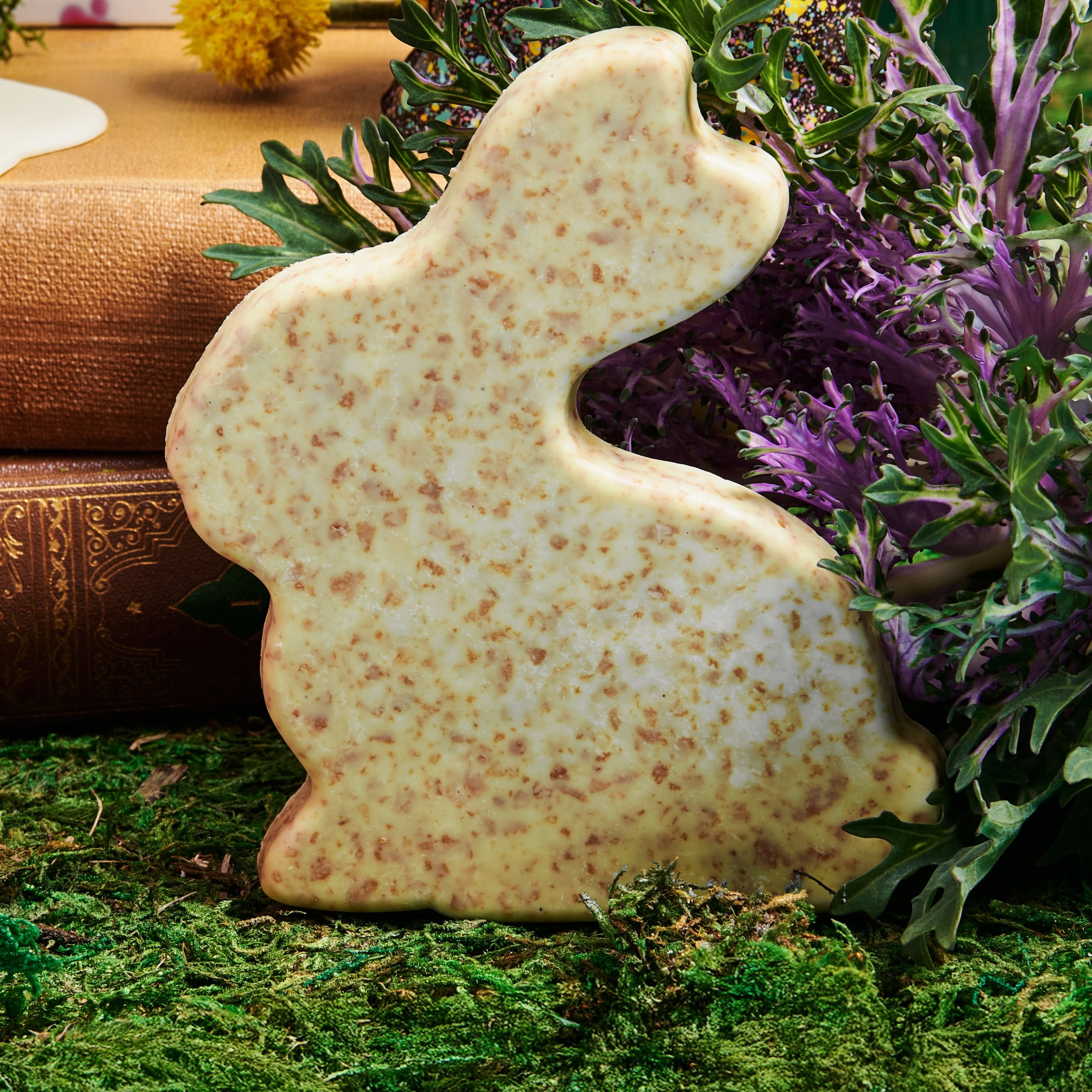 Chocolate & Candy Bars